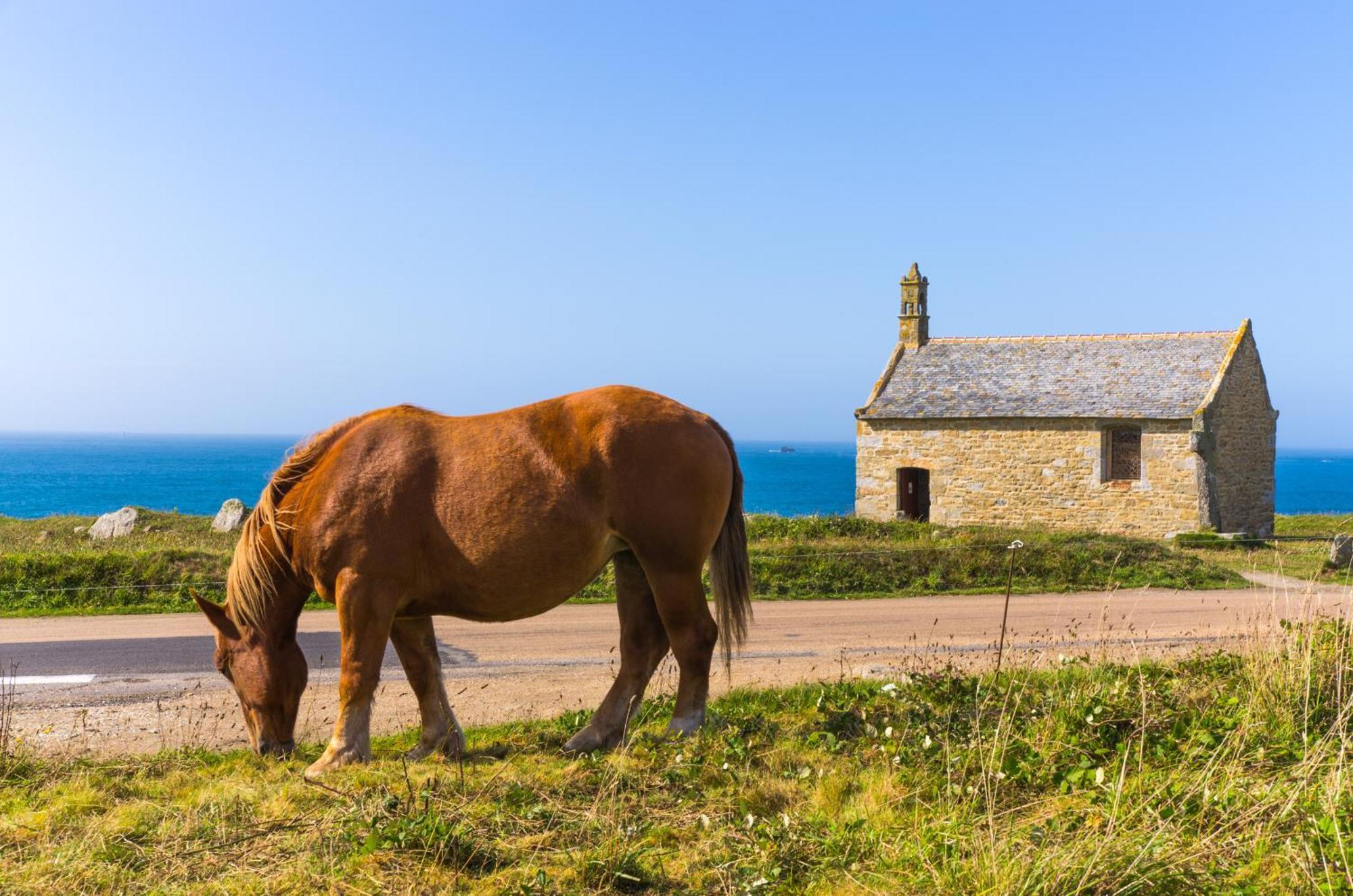Gwel Ar Mor - Jolie Maison De Charme Renovee Proche Du Port Lanildut Esterno foto